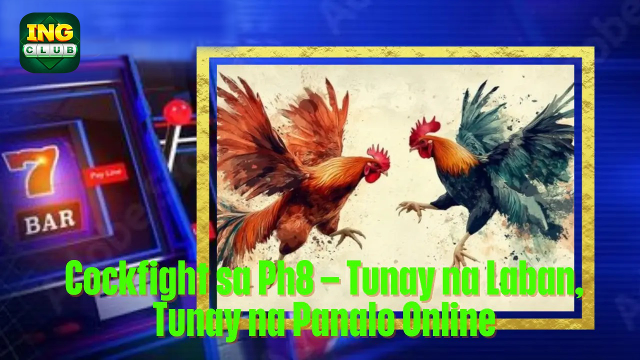 Online Cockfight at 7BET Real Matches Real Winnings